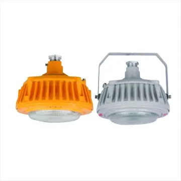 30W 40W 50W 60W 36V 24V Guardrail Type Tempered Glass Emergency Wall-mounted Ceiling-mounted Anti-corrosion Explosion-proof Lamp