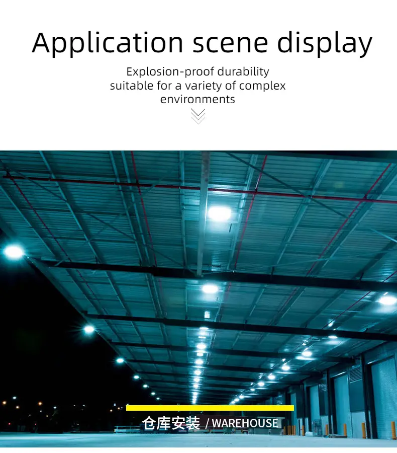 Explosion-proof lamp (3)